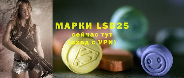ГАЛЛЮЦИНОГЕННЫЕ ГРИБЫ Горняк