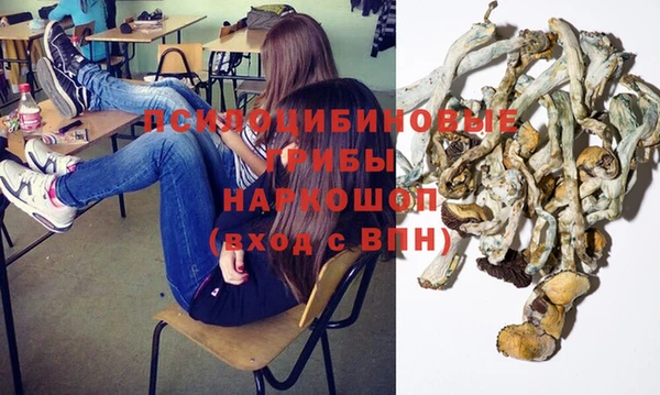 ГАЛЛЮЦИНОГЕННЫЕ ГРИБЫ Горняк