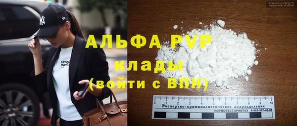 ГАЛЛЮЦИНОГЕННЫЕ ГРИБЫ Горняк