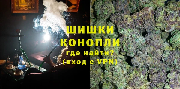 ГАЛЛЮЦИНОГЕННЫЕ ГРИБЫ Горняк