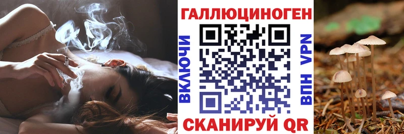 Галлюциногенные грибы Psilocybe  Оха 
